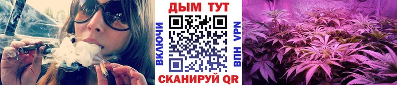 Бошки марихуана Amnesia  Белая Калитва 